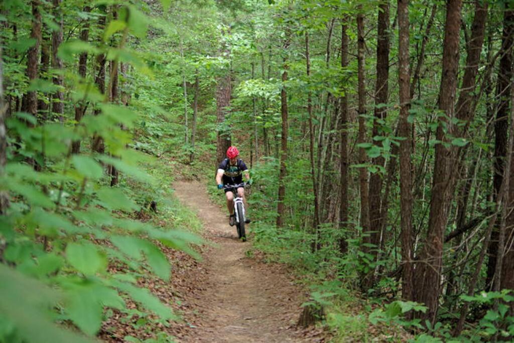 Art'S Bungalow-Wooded Seclusion 1 Mi To Deep Creek And Bryson City Eksteriør bilde