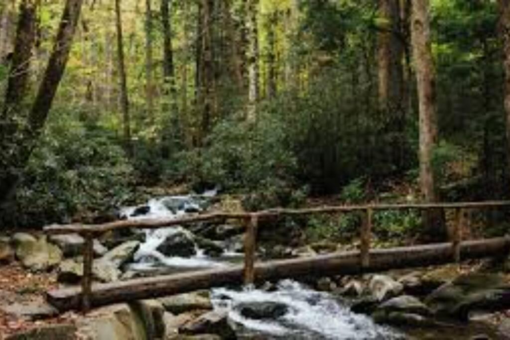 Art'S Bungalow-Wooded Seclusion 1 Mi To Deep Creek And Bryson City Eksteriør bilde